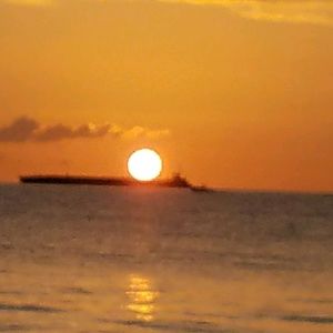 Meet your Posher, Debi